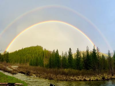 Rainbow